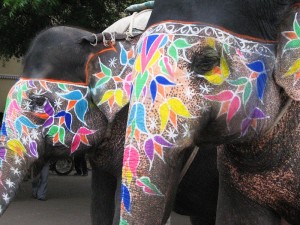 Eléphants en Inde