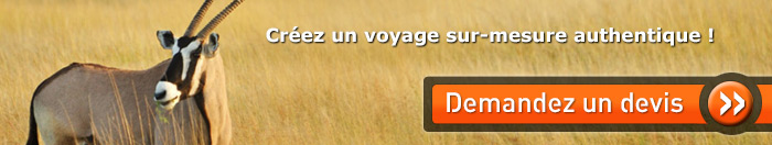 Bannière Namibie